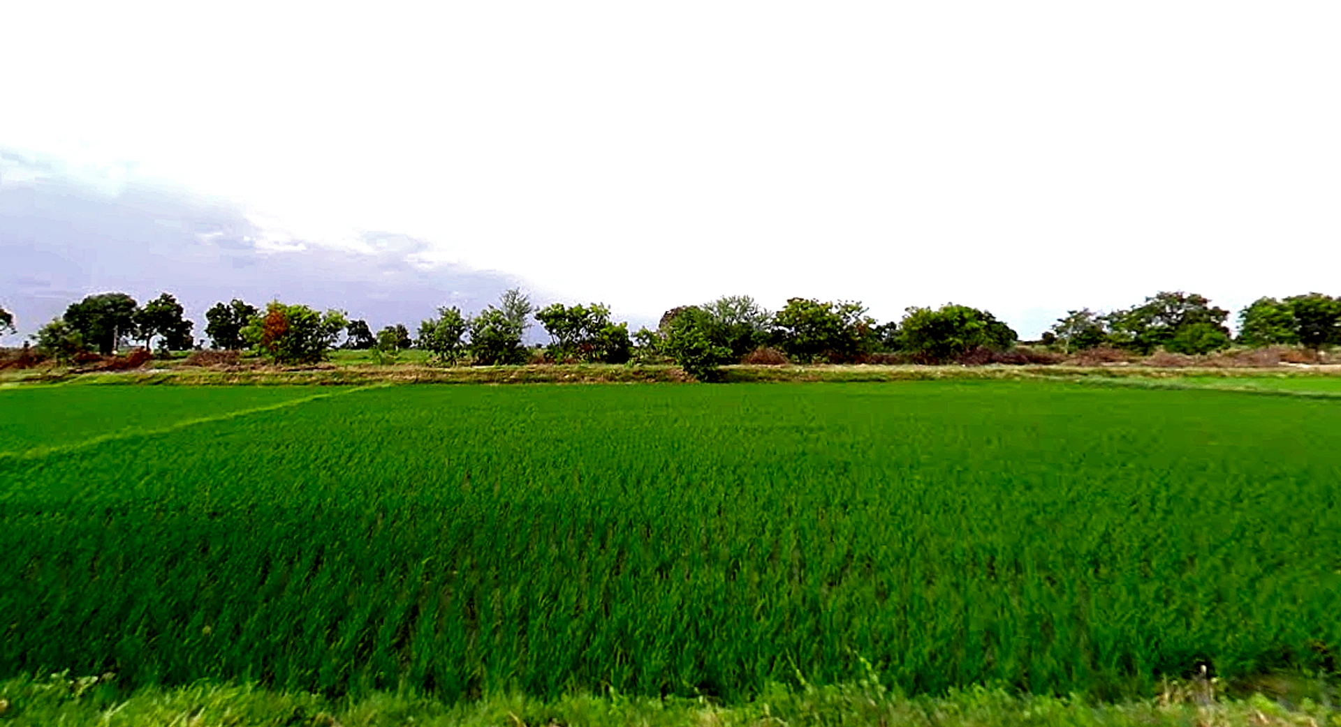 Makthal, Telangana 509208, India