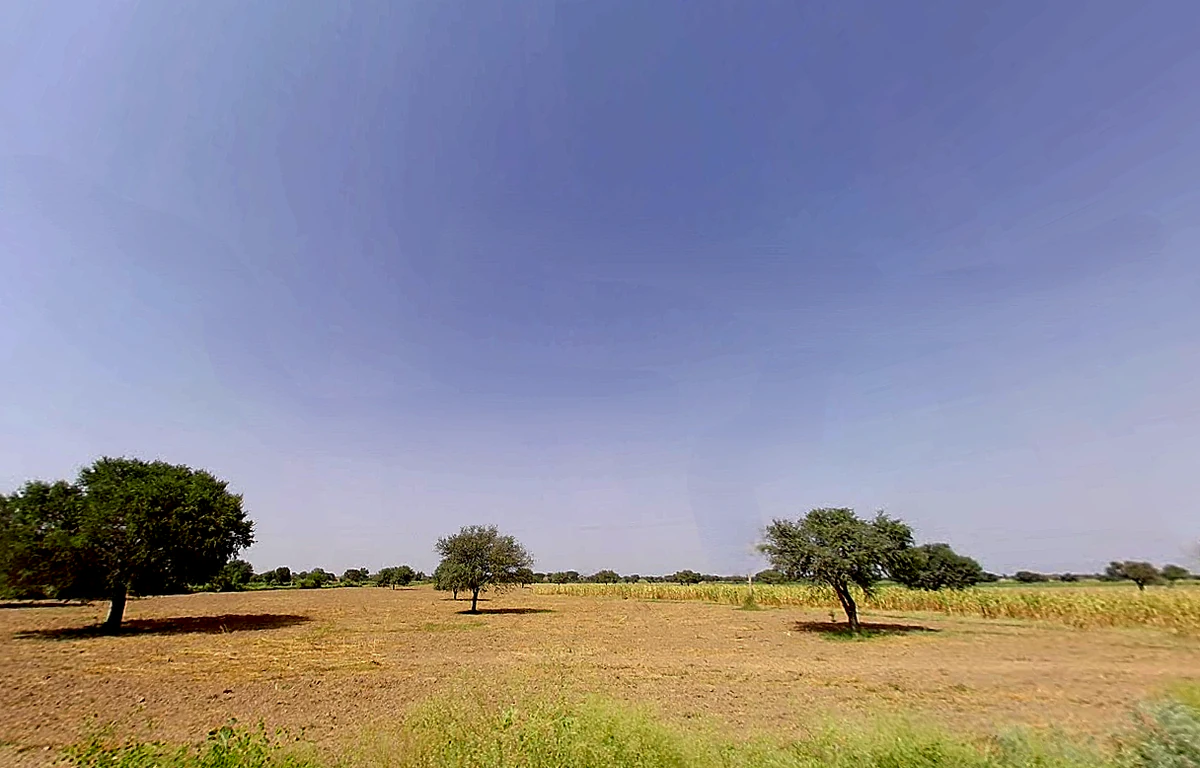 Alampur, Haryana 127040, India