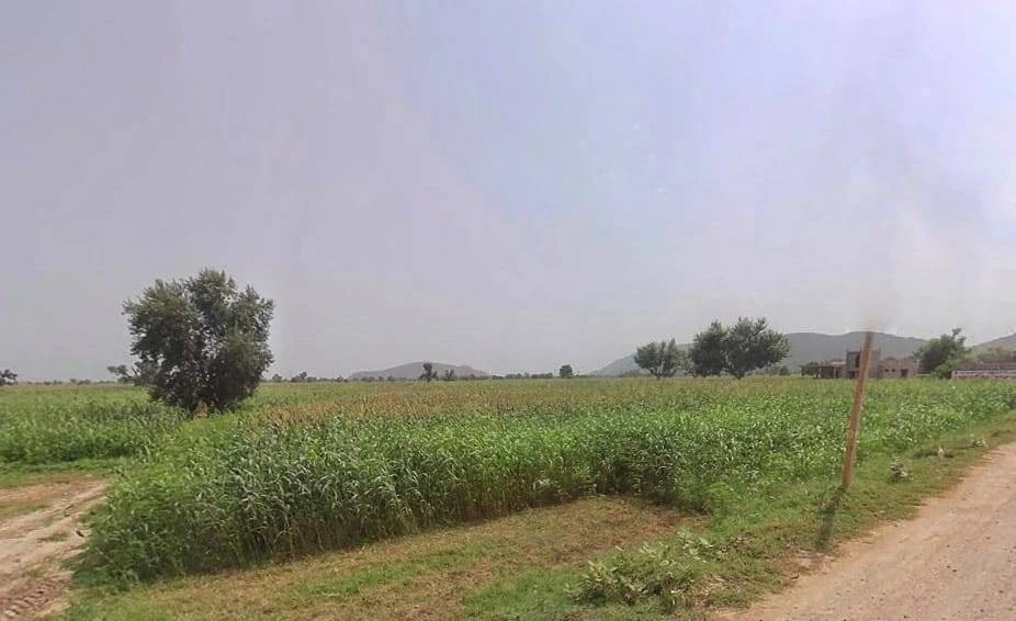 5X3R+R5J, Alipur, Rajasthan 321615, India