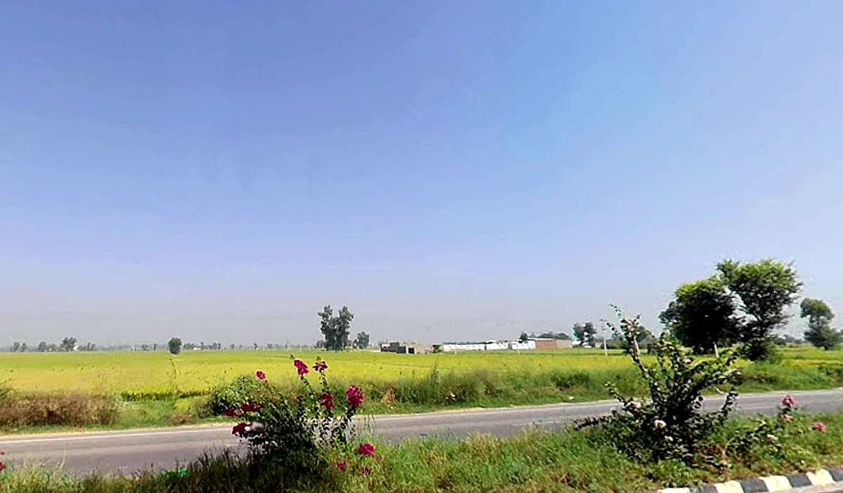 Agroha, Haryana 125047, India