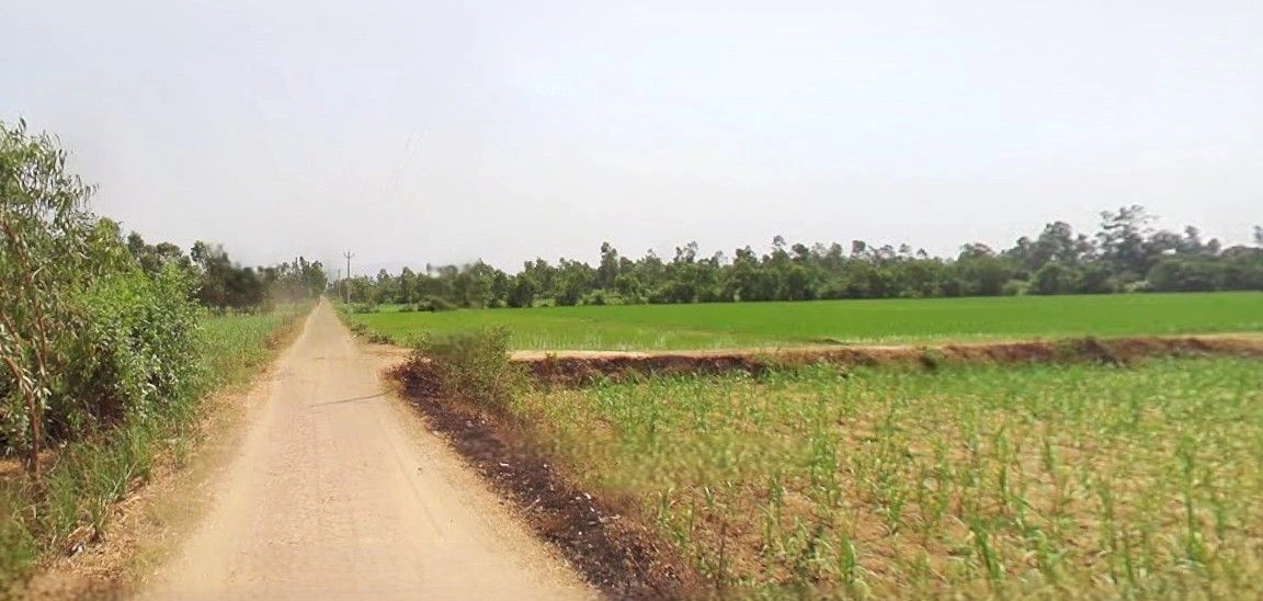 Ramnagar, Uttarakhand 244715, India