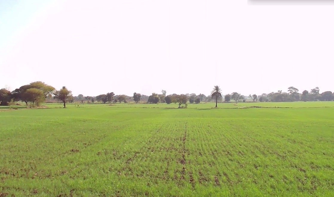 Amla, Madhya Pradesh 455332, India