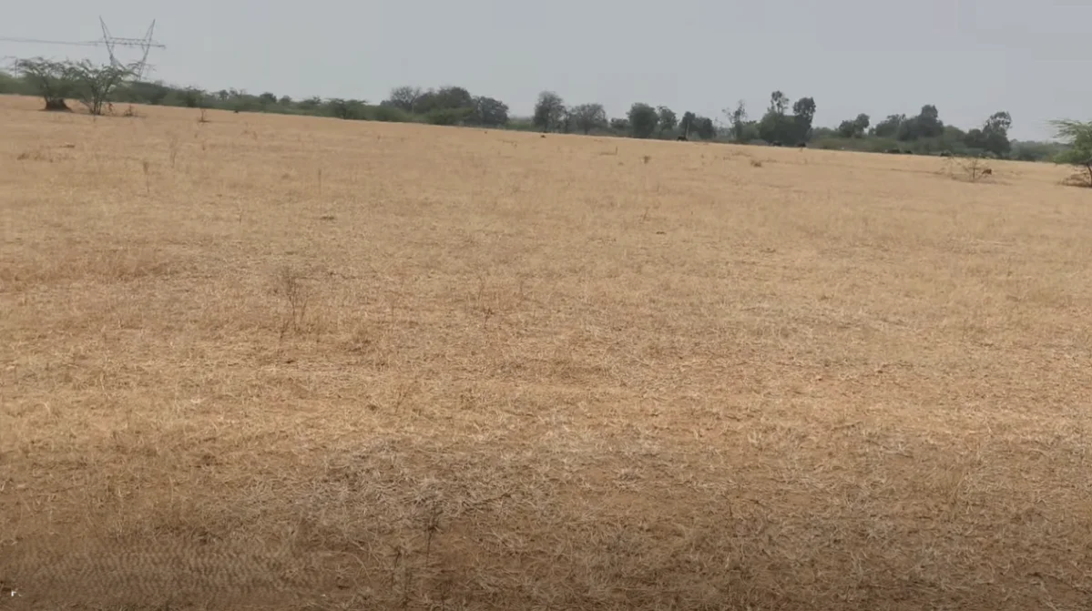 2G63+6R Nagalur, Andhra Pradesh, India preview 3