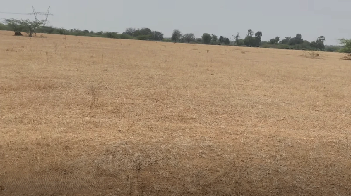 2G63+6R Nagalur, Andhra Pradesh, India