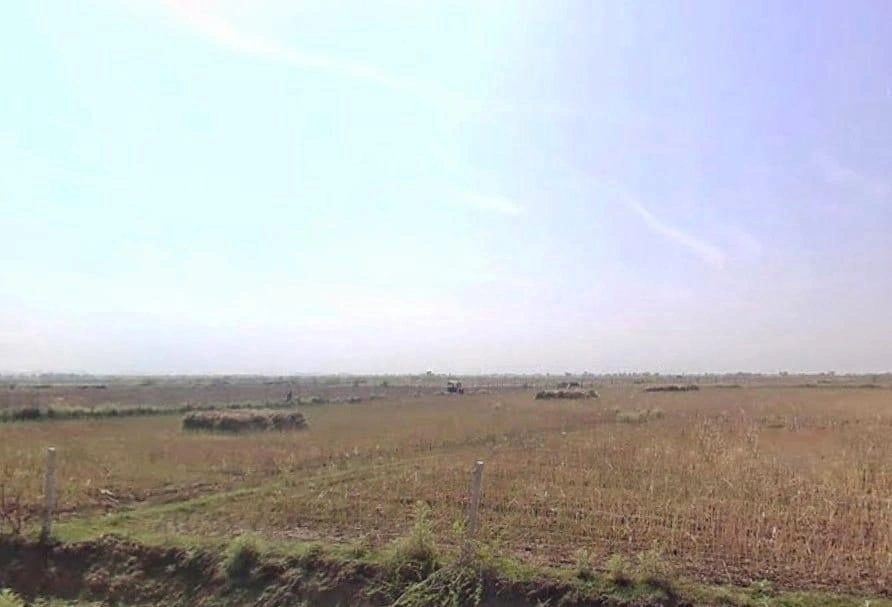 3VCF+VG Ghas, Rajasthan, India