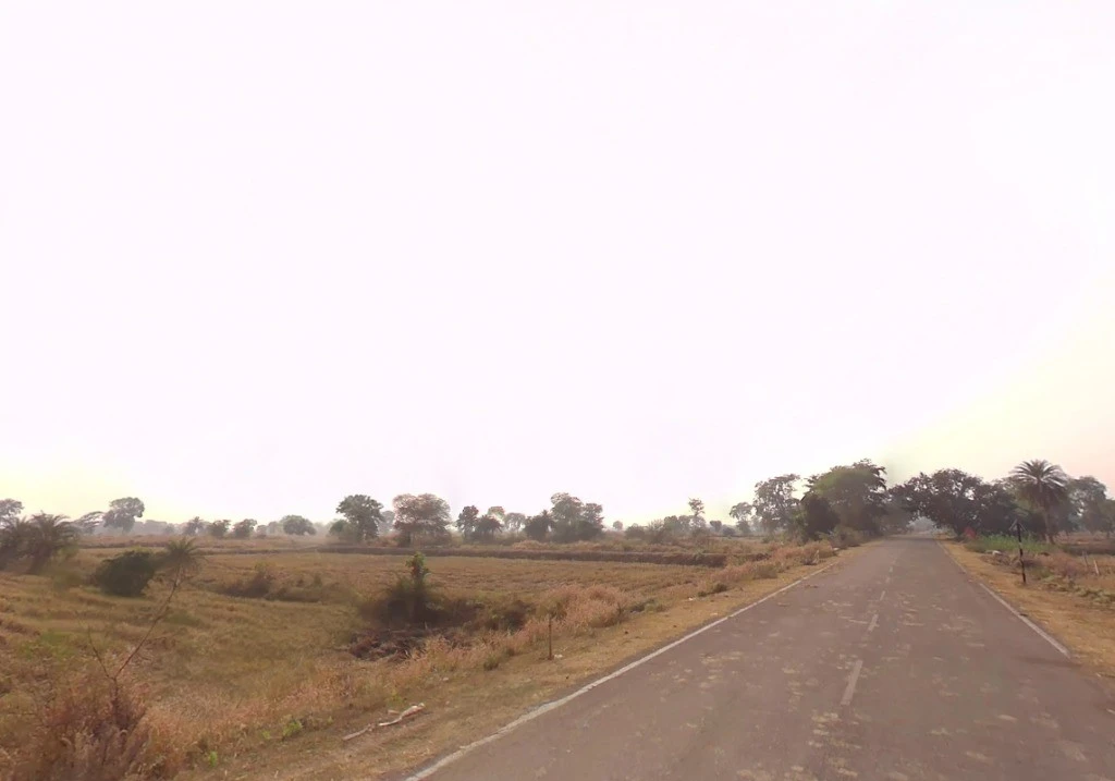 Banjari, Chhattisgarh 493661, India