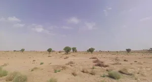 Bikaner, Rajasthan, India preview 3