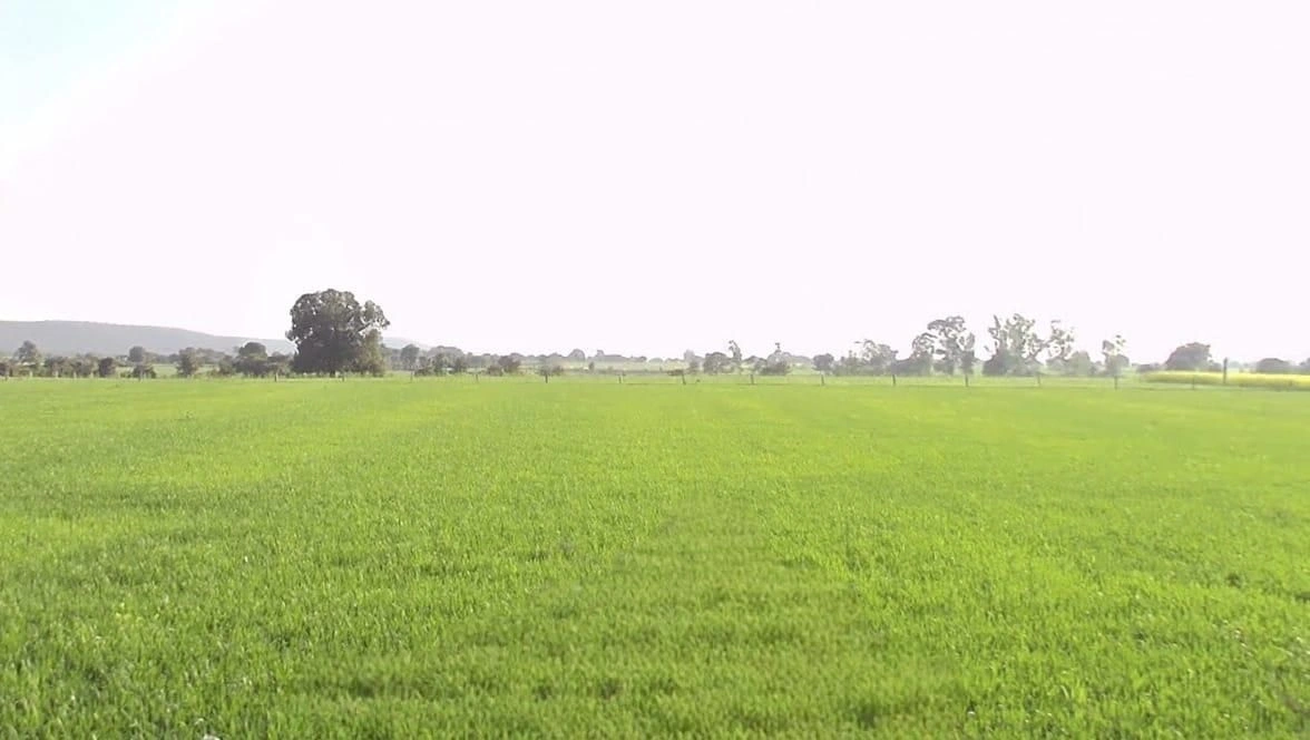 Manora, Madhya Pradesh, India