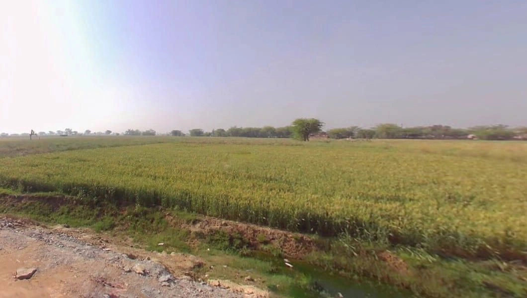 Govind Garh, Rajasthan 301604, India