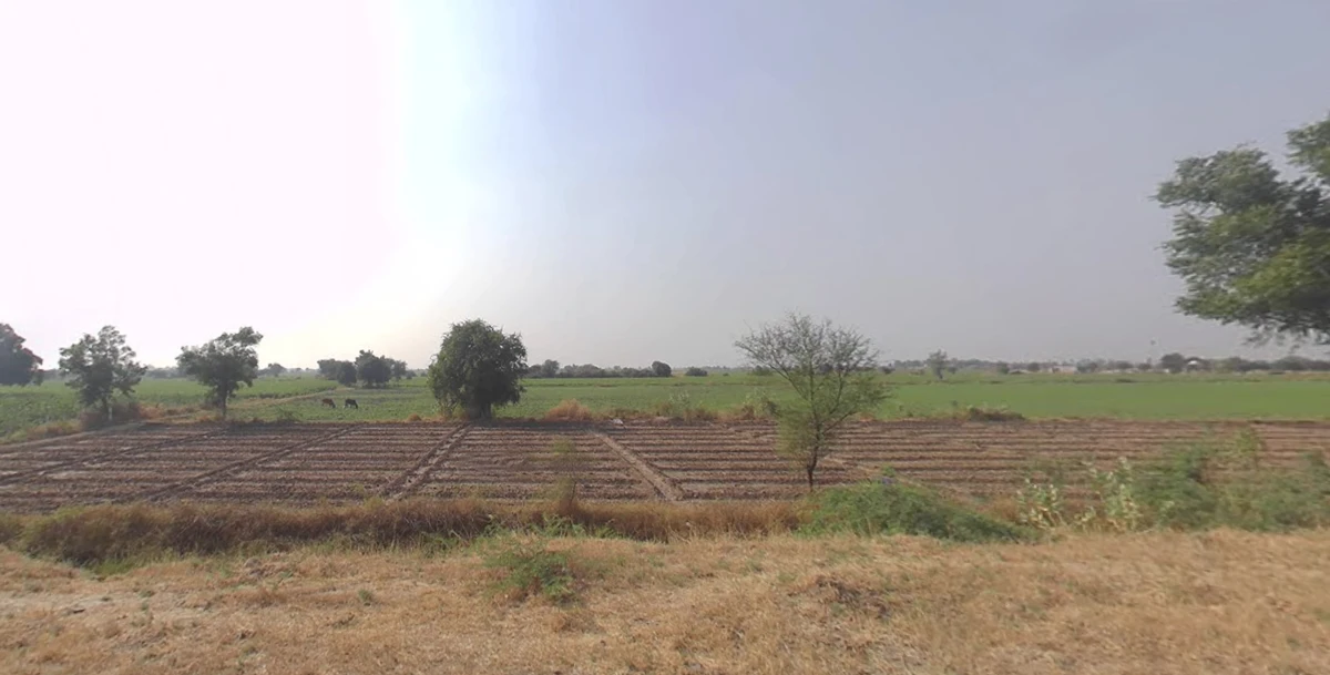5237+QX Bhojva, Gujarat, India