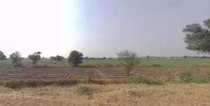 5237+QX Bhojva, Gujarat, India preview 2