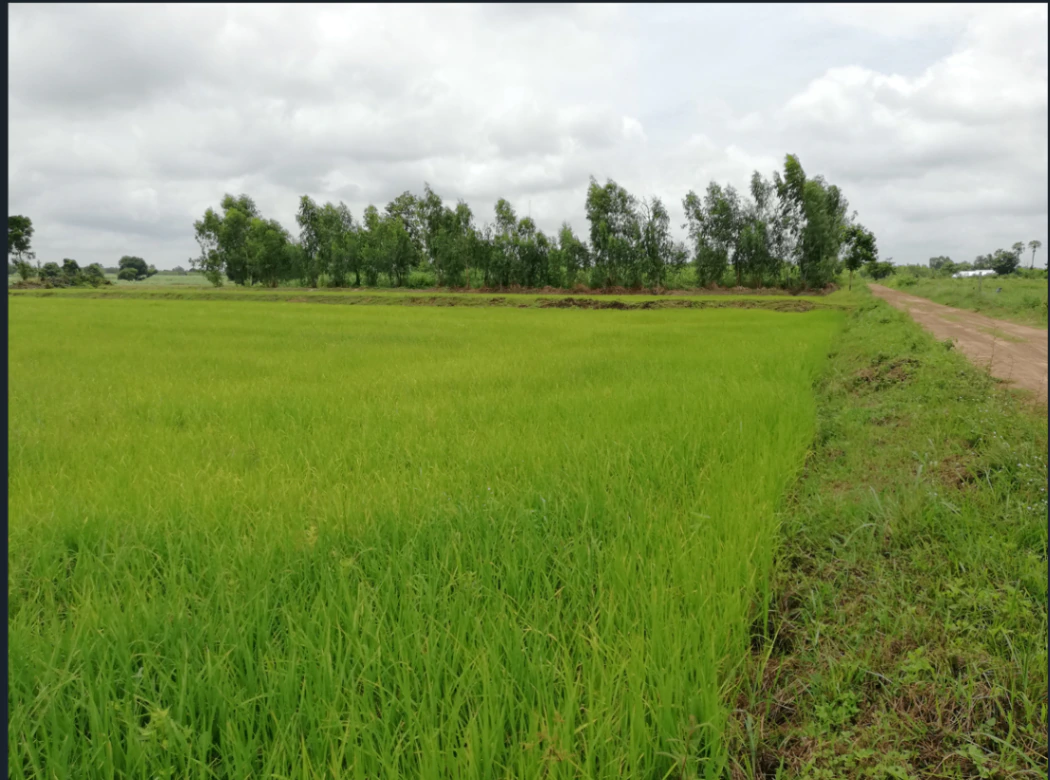 Pirda-2, Chhattisgarh 493111, India