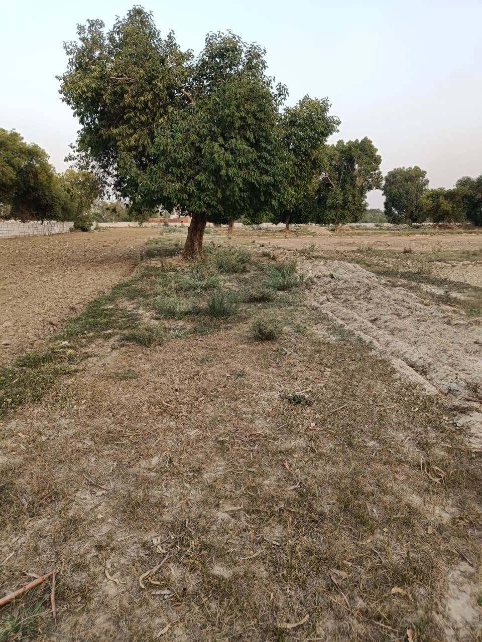 Tentigaon, Uttar Pradesh, India
