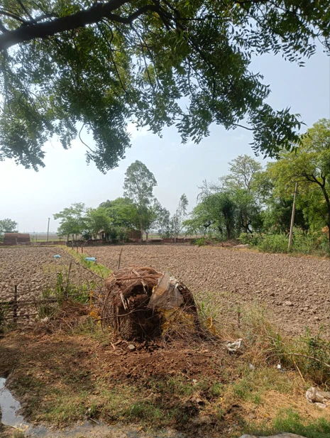 Agroha, Haryana 125047, India