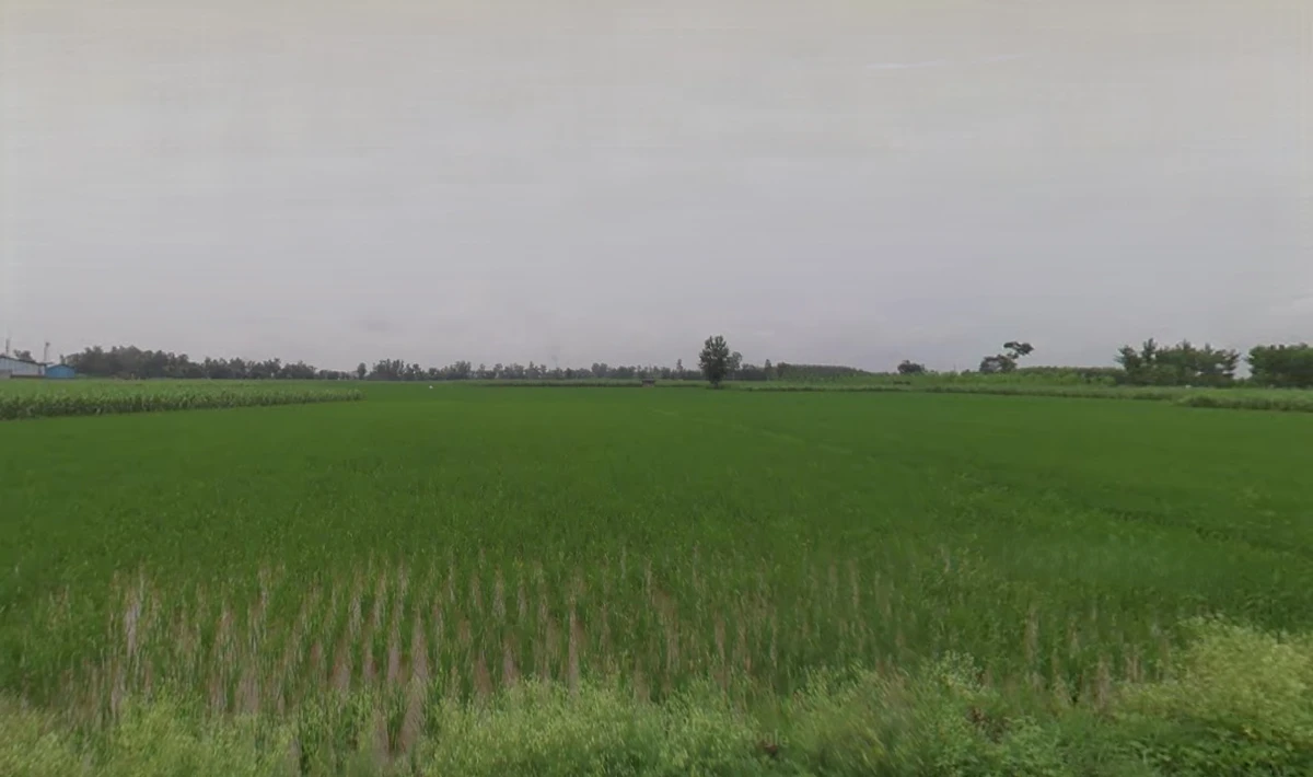 Behrampur, Haryana 135101, India