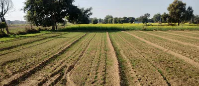 Barsana, Uttar Pradesh 281405, India preview 2
