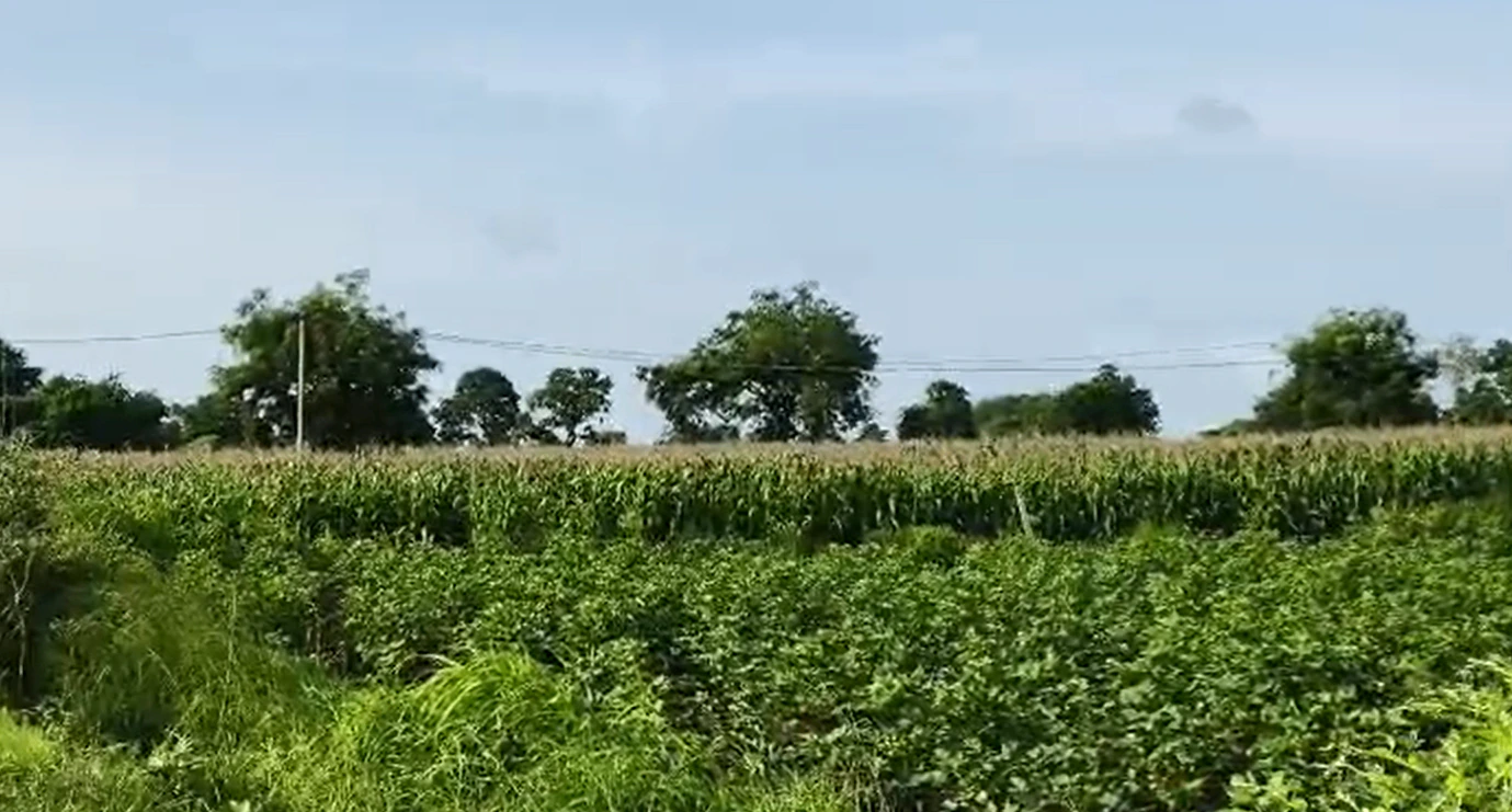 FV2C+VWQ, Vikarabad, Durgamcheru, Telangana, India