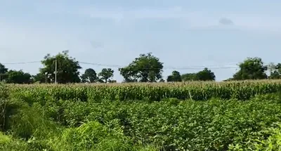 FV2C+VWQ, Vikarabad, Durgamcheru, Telangana, India preview 2