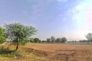 Mala Khera, Rajasthan 301406, India preview 3