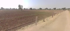 Surdhana Pariharan, Rajasthan 334201, India preview 2