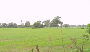 Obaidullaganj, Madhya Pradesh 464993, India preview 2
