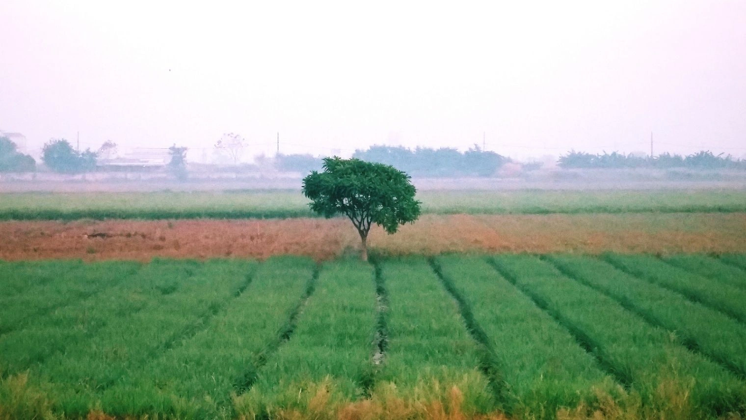 CW25+66H, Bhogipura, Madhya Pradesh 473222, India preview 3