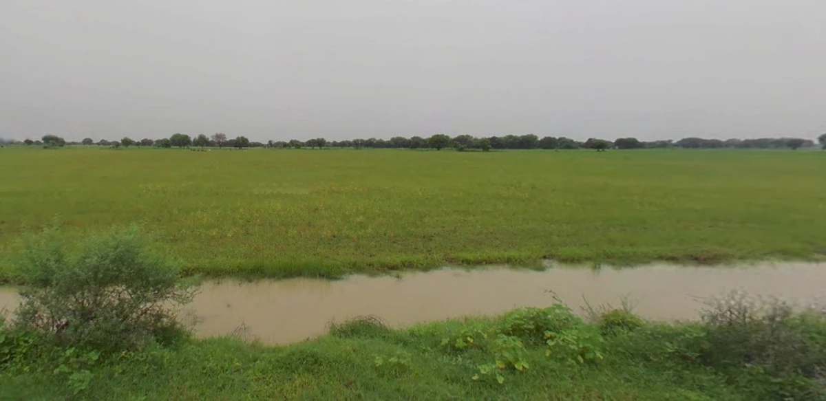 Agricultural Land in Purwa, Unnao