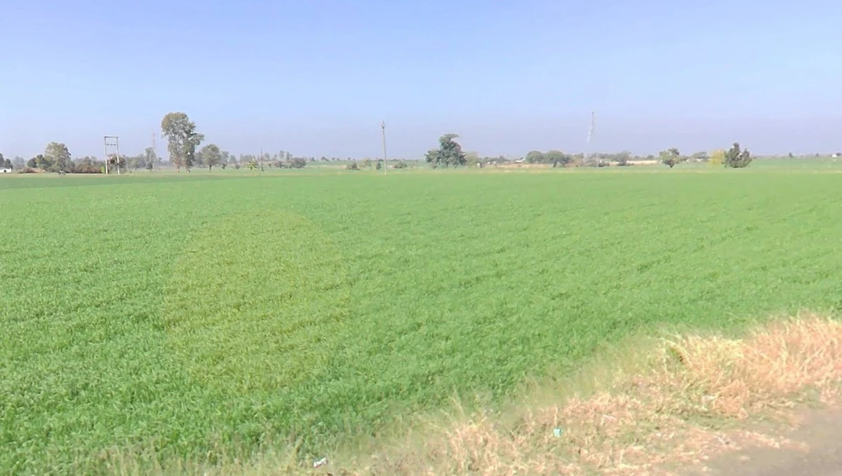 Kamlapur, Madhya Pradesh 455227, India