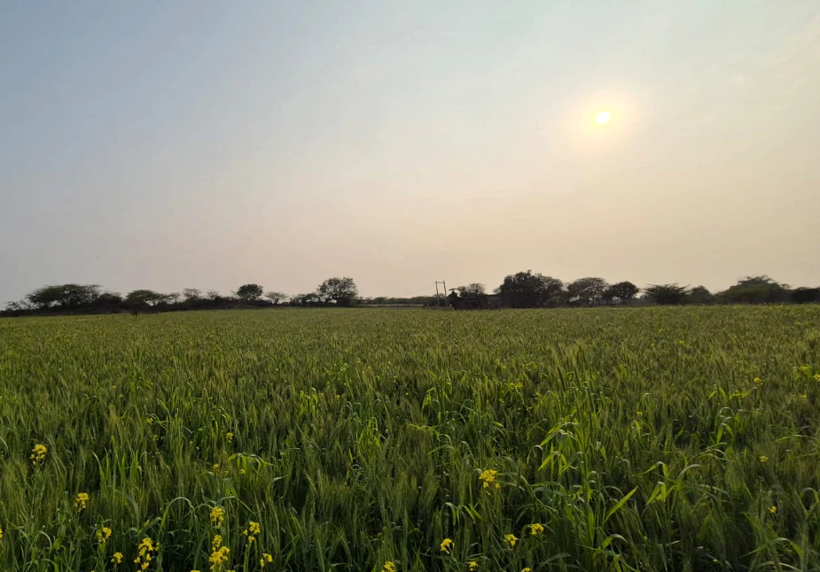 VM86+89 Indrapura, Hamirpur, Uttar Pradesh, India