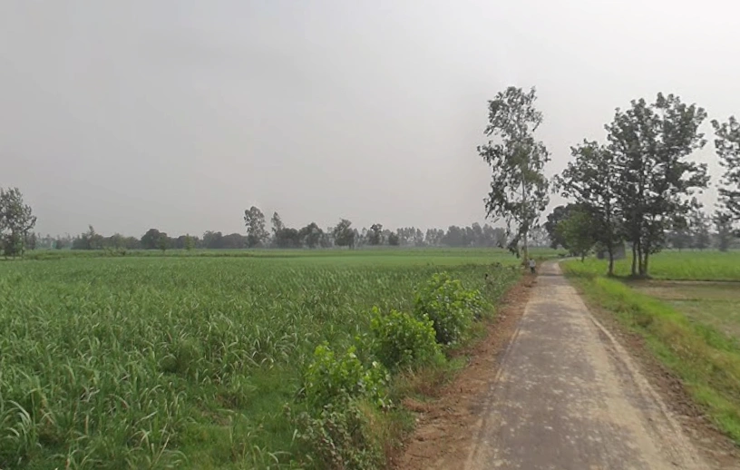 Mawana, Uttar Pradesh, India
