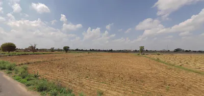 Mandha, Rajasthan, India preview 3