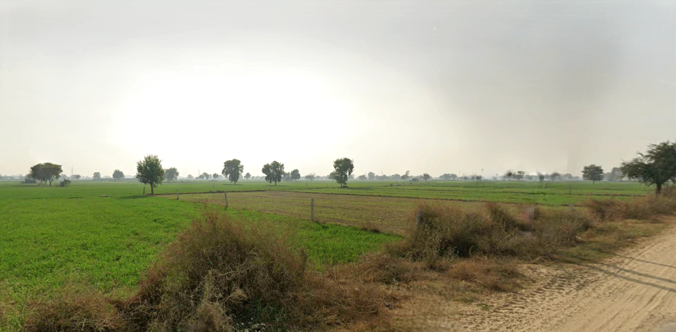 Mangali, Haryana 125005, India