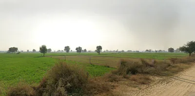 Mangali, Haryana 125005, India preview 3