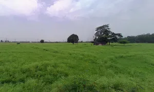 57FF+GXX, Sector 20, Jagadhri, Khera, Haryana 135003, India preview 3