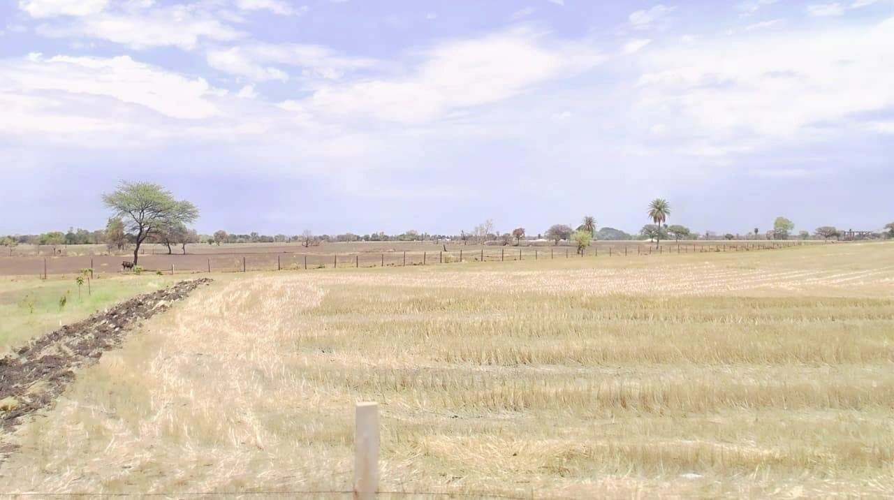 Berasia, Madhya Pradesh 463106, India