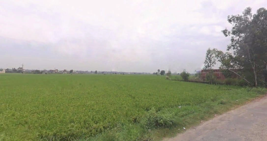 Thakar Pura, Haryana, India