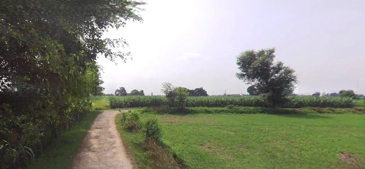 Jansath, Uttar Pradesh 251314, India