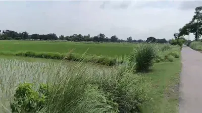 Chhajju Nagala, Yamunanagar, Haryana 135003, India preview 3