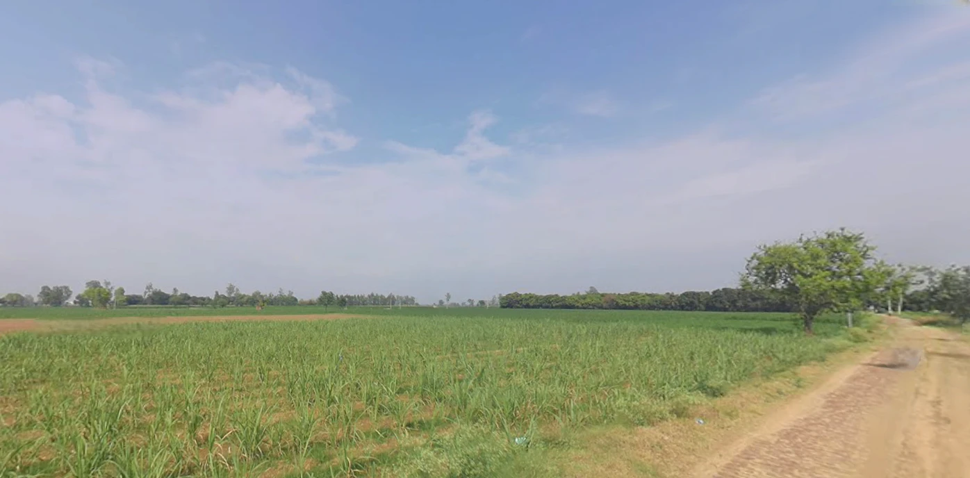 Najibabad, Uttar Pradesh 246763, India