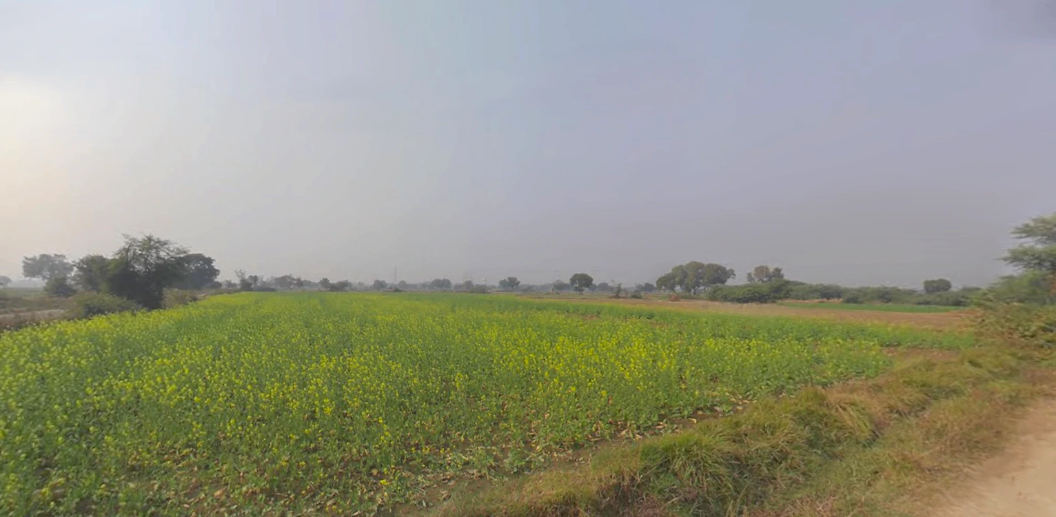 Bhagwanpur, Uttarakhand 247661, India