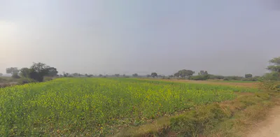 Bhagwanpur, Uttarakhand 247661, India preview 3