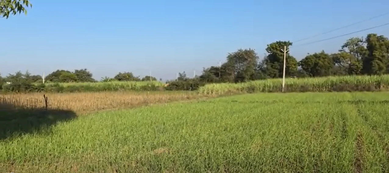 QQX7+P9, Mathura, Jarara, Uttar Pradesh 281205, India
