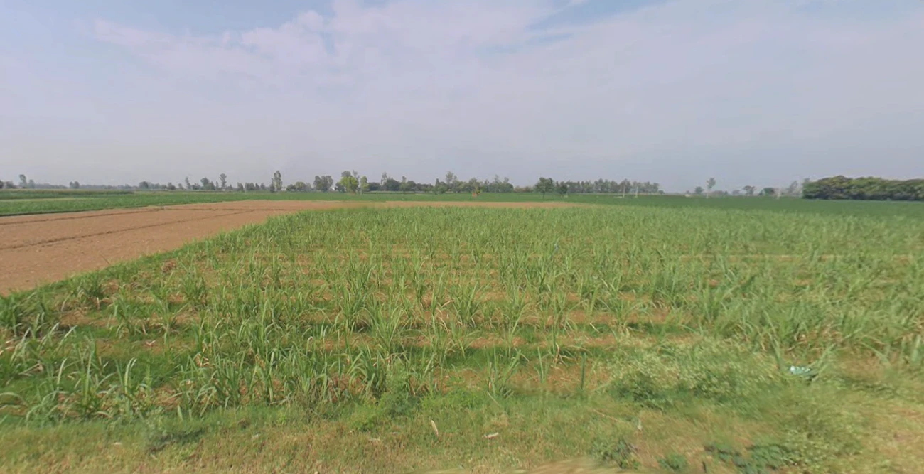 Najibabad, Uttar Pradesh 246763, India