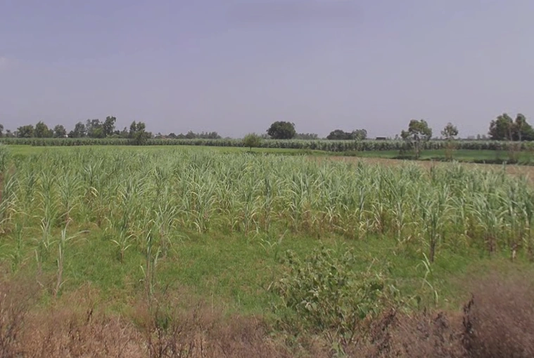 Moradabad, Uttar Pradesh, India