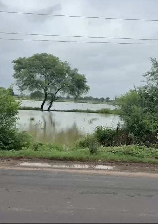 WV3H+83 Shahna, Indore, Madhya Pradesh, India