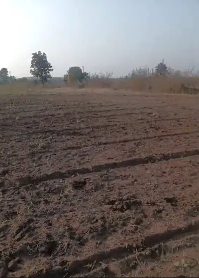4JGF+82P, Khargone, Kasrawad Rd, Kasrawad, Madhya Pradesh 451228, India preview 2