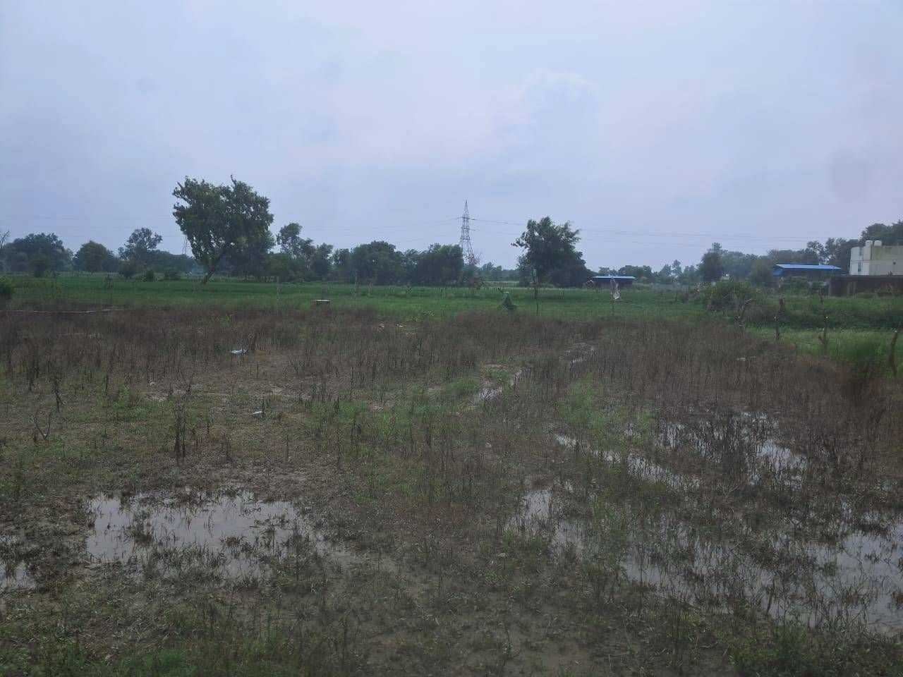 R6R9+7R Fatepur, Gonda, Uttar Pradesh, India