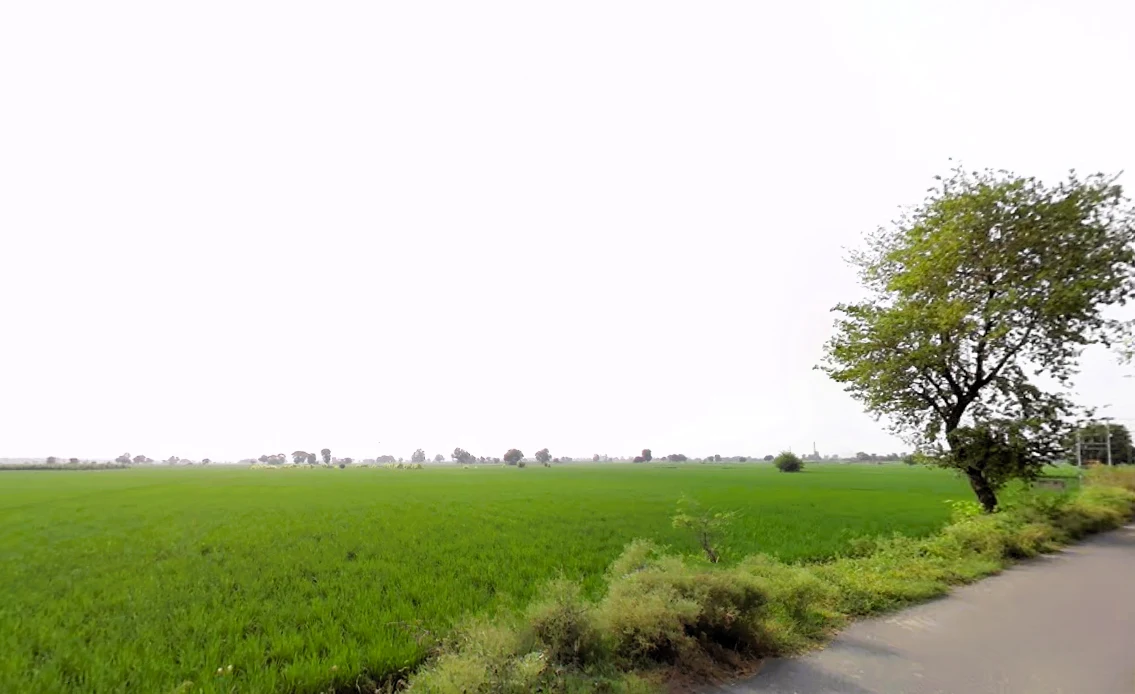 Madlauda, Haryana 132113, India preview 2