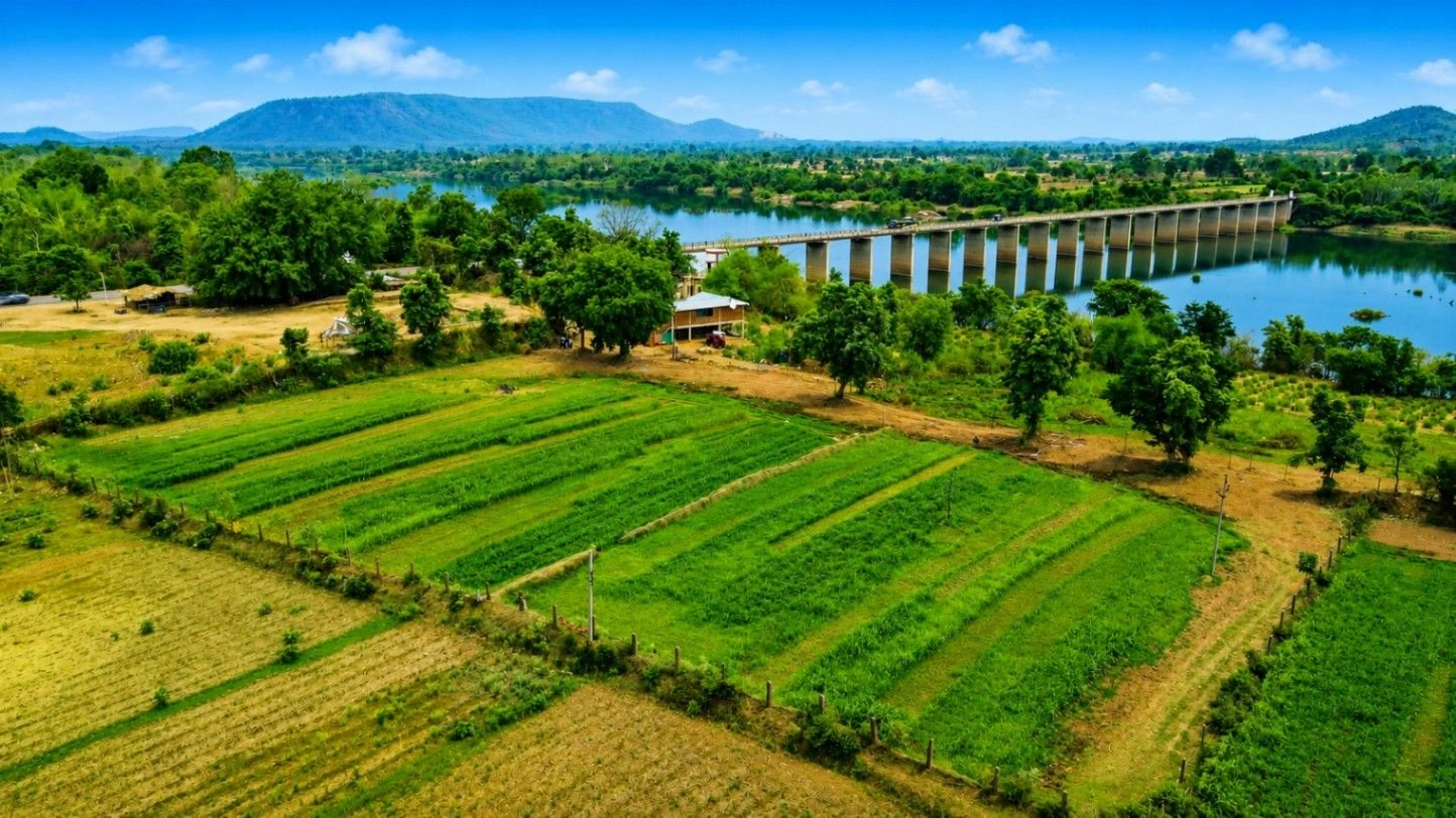 P2M4+7CQ, Panna, NH 39, Madhya Pradesh 488001, India - Photo 2