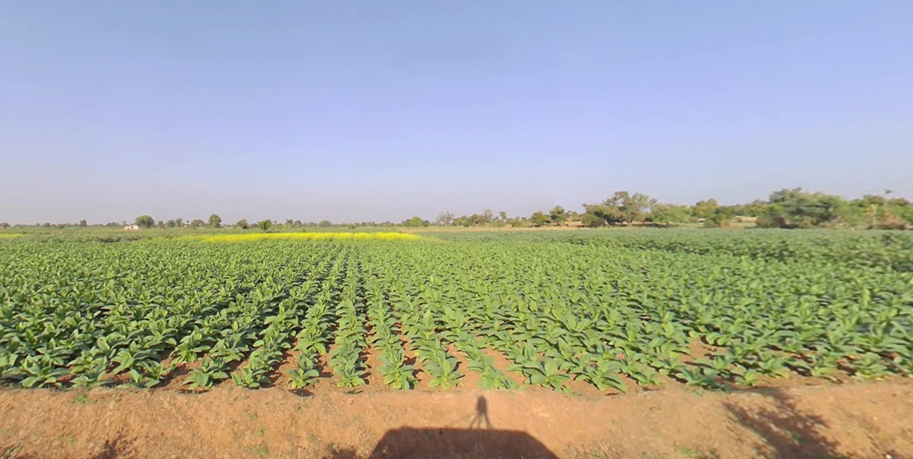 Chikhalgaon, Maharashtra 412108, India